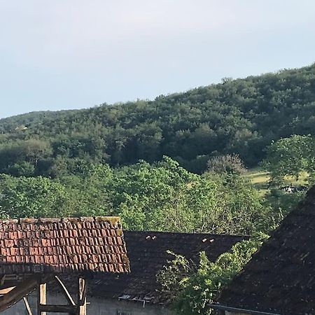 Maison Familiale Au Coeur Du Lot Lanzac Eksteriør billede
